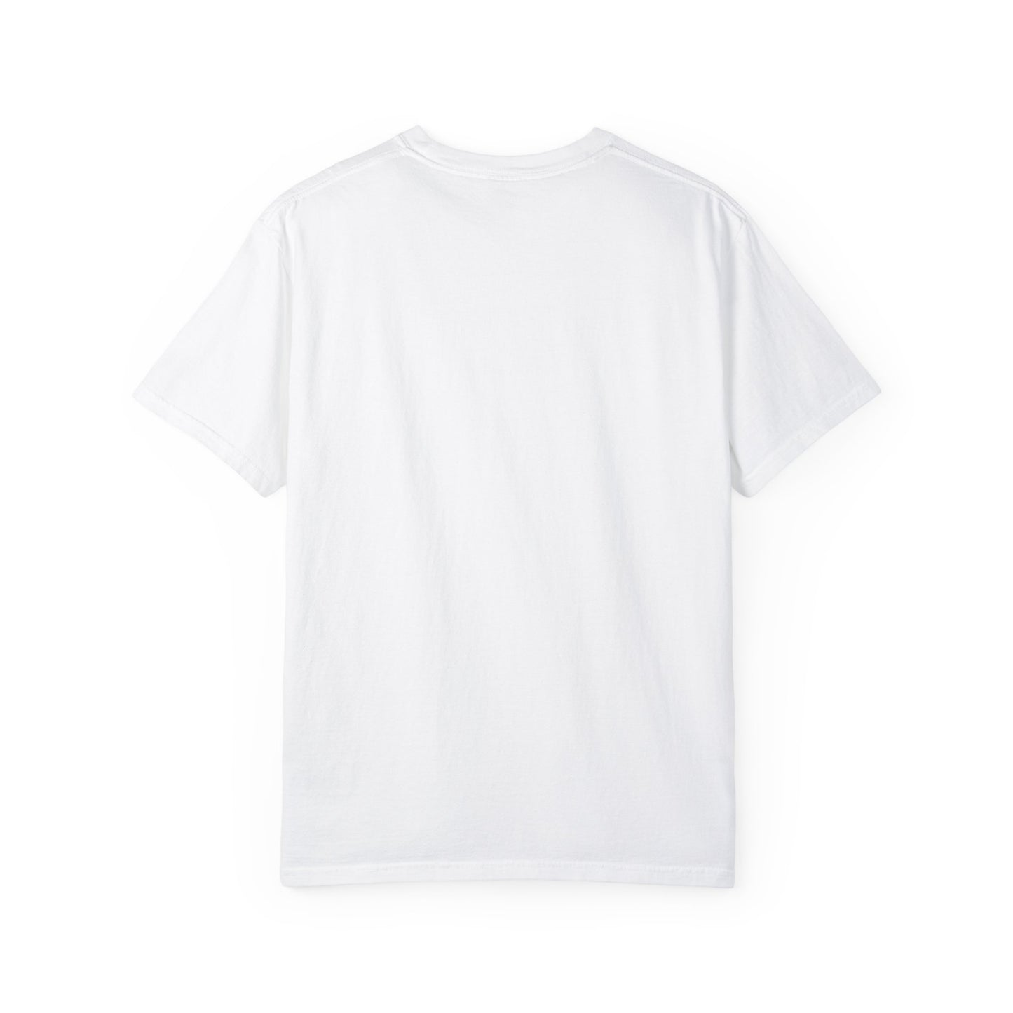 Garment-Dyed T-shirt - The "Billboard Explicit" Tee